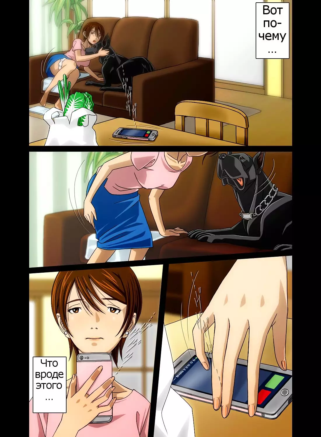 “Wonderful Life” ~Shufu to “Aiken” no Hisoyaka na Gogo~