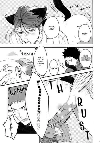 (C93) [Rototika (Kamishi Yue)] Iwa-chan no Neko ni Naritai 2 (Haikyuu!!) [English]