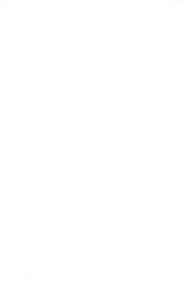 Hitozuma ♂ Tousatsu Netori