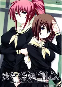 (C75) [Nezumitori (Kuronezumi)] Hayate-sama ga Goranshin! (Mahou Shoujo Lyrical Nanoha StrikerS)