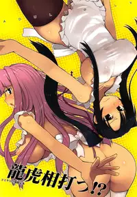 (C78) [Kotoshiki (Mukojima Tenro)] Ryuuko Aiutsu！？ [Dragon Versus Tiger] (Shin Koihime Musou) [English] =Team Vanilla +