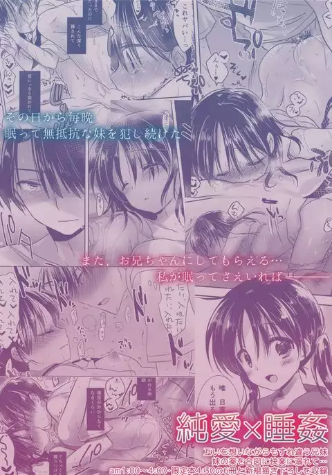 Oyasumi Sex Soushuuhen