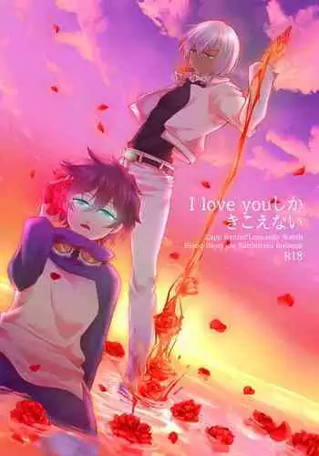 I love you Shika Kikoenai