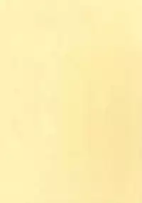 (TWINKLE MIRAGE 5) [Inukare (Inuyashiki)] Motto! Aisare Ouji Visual Kei (Final Fantasy XV)