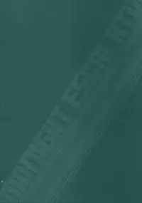 (SC41) [D.N.A.Lab., ARESTICA (Ariko Youichi, Miyasu Risa)] MIDNIGHT ESCALATOR (Persona 4) [English] [sirC]