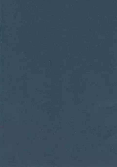 Oyasumi Sex Soushuuhen