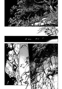 [Shibata Masahiro] Nano Sector