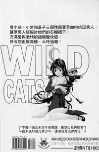 [Kobayashi Takumi] Wild Cats | 性感小野貓 [Chinese] [Incomplete]