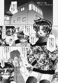 [Nekojima Lei] Dorei Tengoku ~Maid Paradise~