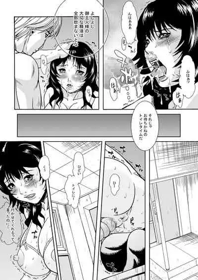 Hitozuma no Himitsu - Ayako Soushuuhen