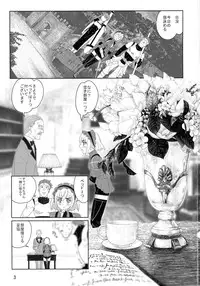 (CSP6) [RPG COMPANY2 (Sakusha Fushou)] ChaikaRose (Hitsugi no Chaika)