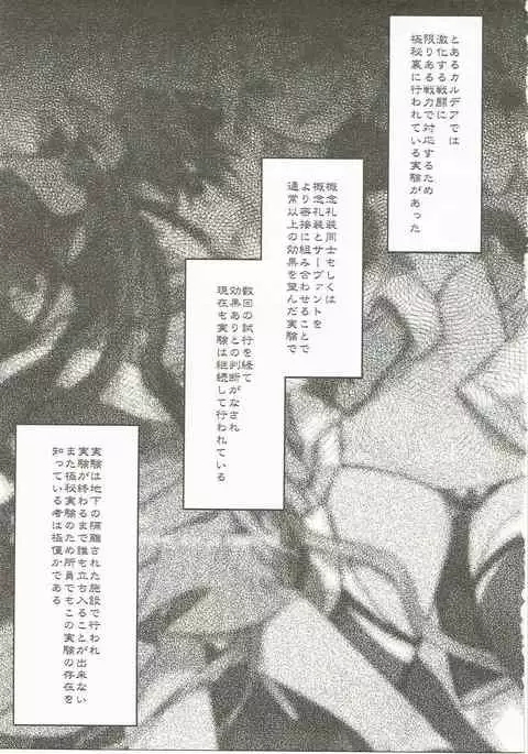 Giji Genkai Toppa Jikken Houkokusho 02