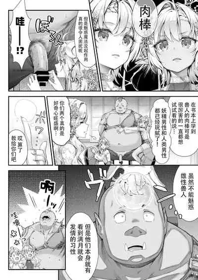 Oideyo! Midarana Elf no Mori