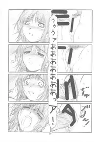 (C77) [Studio N.BALL (Haritama Hiroki)] Originalia