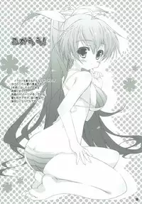 [KONOHA (Hotei Kazuha)] Takane Bunny (THE iDOLM@STER)