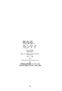 [Studio N.BALL (Haritama Hiroki)] Seinaru, Kankei [Chinese] [胸垫汉化组]