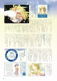 Canvas Visual Fan Book