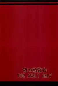 (SC33) [Yoru no Benkyoukai (Fumihiro)] NF (Mahou Shoujo Lyrical Nanoha) [Chinese] [无毒汉化]