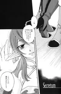 (C80) [Katakuchiiwashi] Secretum (Tales of Vesperia)
