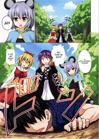 (Reitaisai 11) [Kamikadou (Ginyou Haru)] Gensoukyou Rakuenka Keikaku 13 | Gensoukyou Paradise Plan 13 (Touhou Project) [English] {doujin-moe.us}