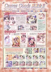 Canvas Sepia iro no motif Visual Fan Book