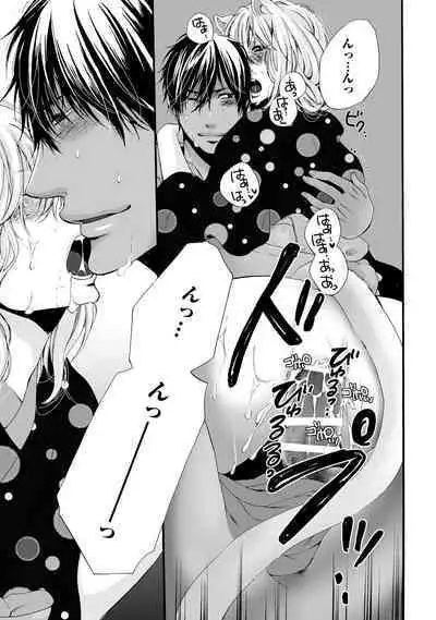 Aigan Neko no Yuuwaku