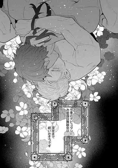 Hoshikuzu no Debutante