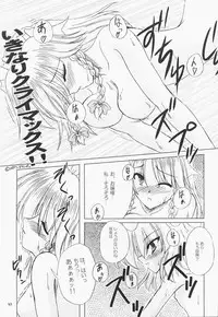 (C68) [Reverse Noise (Yamu)] Secret addition Zenpen (Touhou Project)