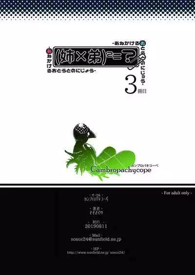 [Cambropachycope (Soso-Zagri)] Ane kakeru Otouto no ni jyou san-satume [Digital]