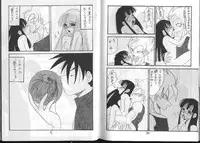 Dragonball for adult