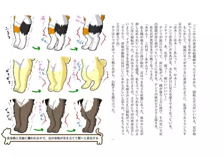 Kemo tan 1＠J-Chimera