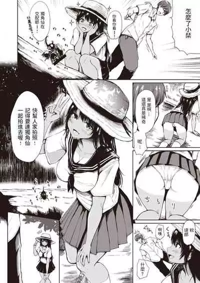 Kongari Yagai Hoshuu