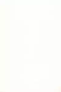 [Sakurafubuki Nel] Love Minimum