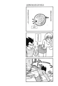 [Shima Sanmei] Dragon Pearl 01 [chinese]