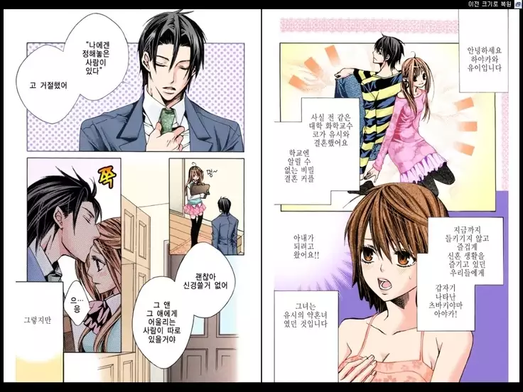 Naisho no Love Mariage | 비밀의 결혼