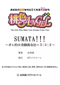 [Mizukaga Syou] SUMATA!!! ~Ore-teki Bikyaku Ougonhi = 5:3:2~ 1 [Digital]