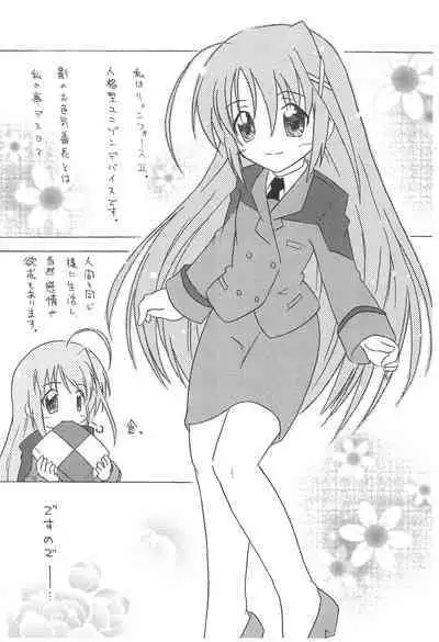 (Lyrical Magical 2) [SimpleClass (Shinozuki Kou)] Donmai. (Mahou Shoujo Lyrical Nanoha)