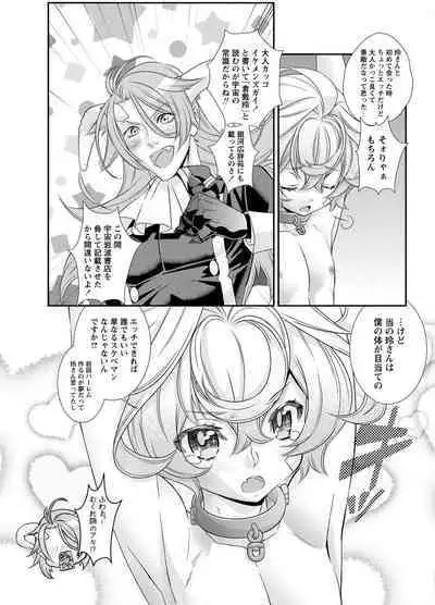 Denki Sentai Briders