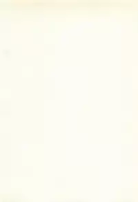 [Matsuzawa Kei] Ranman Fechi Romance - Glorious Fetish Romance