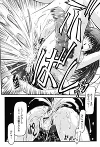 COMIC Momohime 2008-11