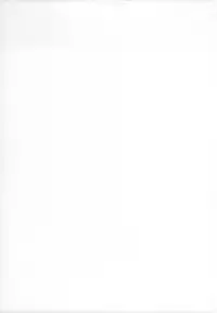 (C86) [Yokohama Junky (Makari Tohru)] Solo Hunter no Seitai 4 The third part (Monster Hunter) [Textless]