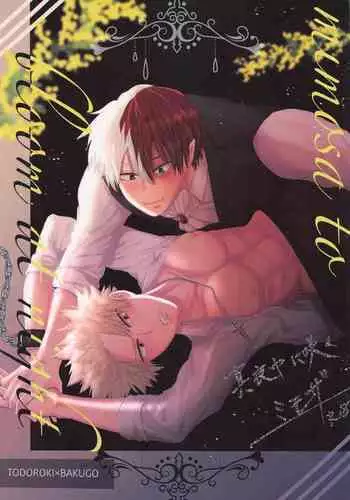 Mayonaka ni Saku Mimosa - mimosa to bloom at night