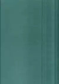 (SC41) [D.N.A.Lab., ARESTICA (Ariko Youichi, Miyasu Risa)] MIDNIGHT ESCALATOR (Persona4)