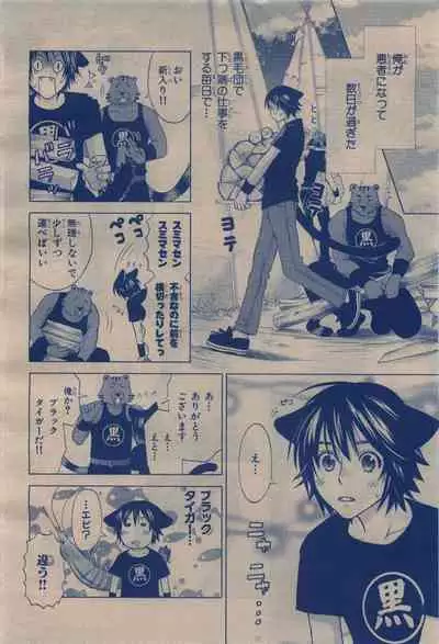 BE・BOY GOLD 2009-12