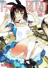 (Panzer Vor! 11) [Norinko] Pre-BURN (Girls und Panzer)