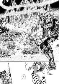 [Shibata Masahiro] Nano Sector