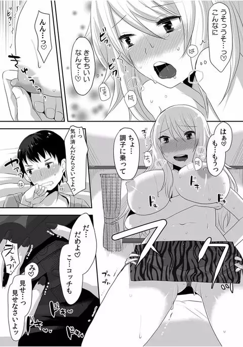 COMIC Kaupania Vol.40