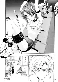 (CR25) [Nakayohi (Izurumi)] Baku (Neon Genesis Evangelion)