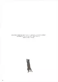 (C88) [Neko Kinryouku (NekoNeko)] Mahou Shoujo wa Otome Janai to Ikenai ndesu. (Katsute Mahou Shoujo to Aku wa Tekitai Shiteita.)