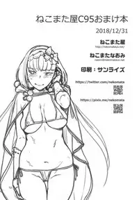 (C95) [Nekomataya (Nekomata Naomi)] Nekomataya C95 Omakebon (Fate/Grand Order)